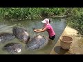 Pearl hunter/catch the mussels in the Shitan at the mouth of the village,pearl big harvest