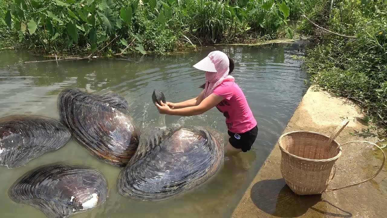 Pearl hunter/catch the mussels in the Shitan at the mouth of the village,pearl big harvest