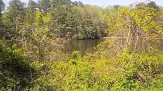 42704 WAVERLY WAY video tour