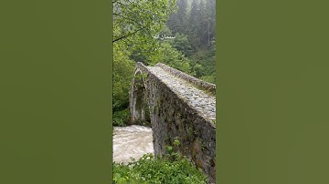 #القارئ_عبدالرحمن_مسعد #quran #قرآن #اكسبلور #المصحف #nature #تركيا #القرآن_الكريم