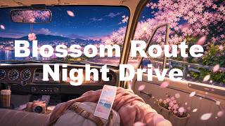 Cherry Route Night Route | 1 Hour Night Drive Lofi for Emotional Chill