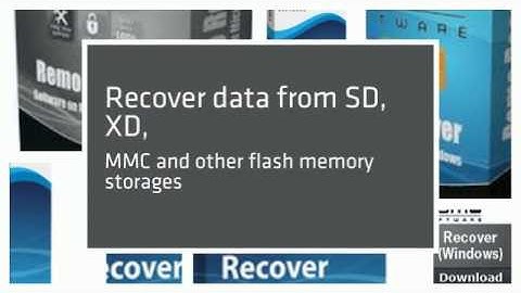 Remo Recover (Windows) - Pro Edition