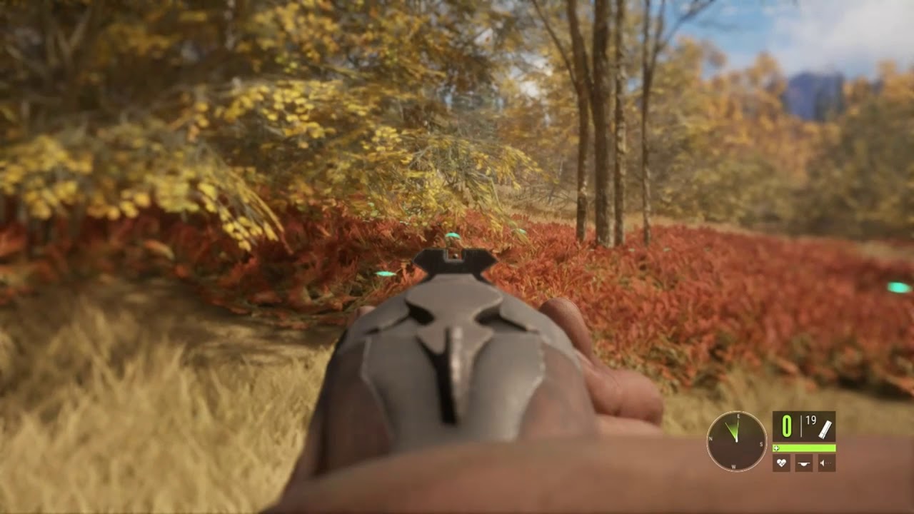 Hunter call of the wild: random clips #1