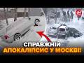 ⚡️ТЕРМІНОВО! Сніжний УРАГАН ЗНОСИТЬ Москву і Пітер: Росія ПАРАЛІЗОВАНА, АЕРОПОРТИ та ТРАСИ закриті