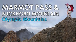 Hiking MARMOT PASS & BUCKHORN Mountain - Washington's Olympic Mountains