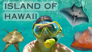 Гавайи, Big Island | Плаваем с Мантами | Вулканы | Подводный мир | Море застывшей лавы | Природа