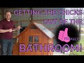 Getting the chickens OUT OF OUR BATHROOM!!!