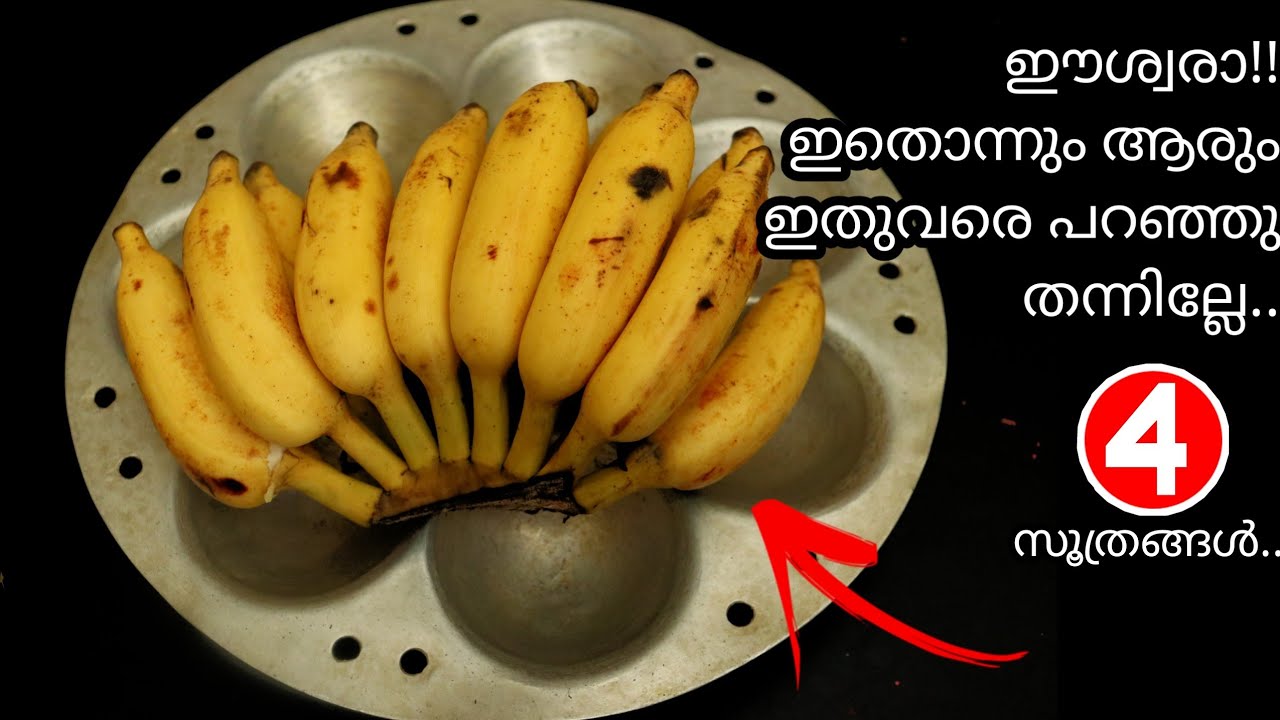 ഈശ്വരാ ഇതുവരെ ഇതൊന്നും അറിഞ്ഞില്ലല്ലോ |Kitchen Tips Malayalam - YouTube