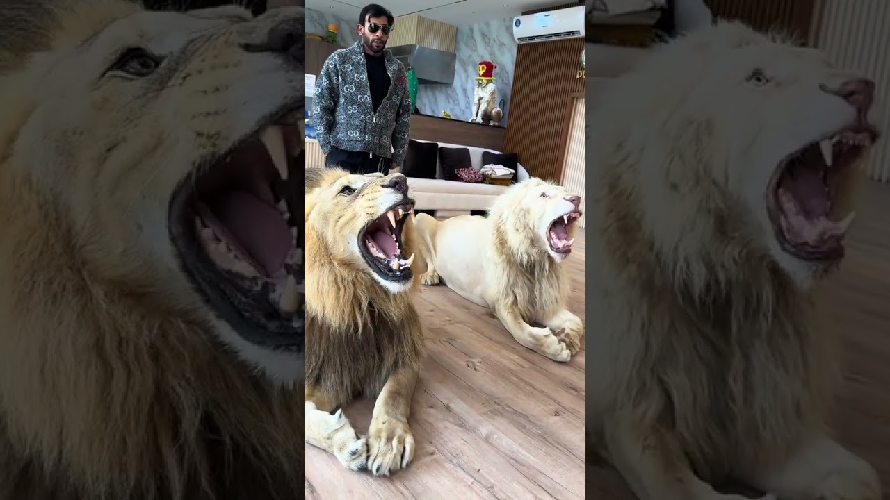 This is not AI,  it’s real 😨