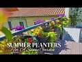 Summer planters idea for a sunny container garden