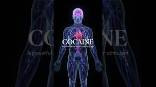 Cocaine: What Happens Inside Your Body? 🧠⚡ | The Science of Addiction and Overdose