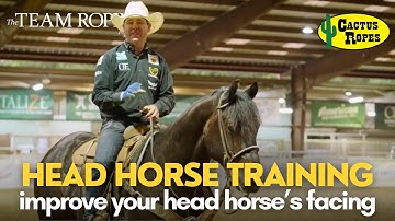 Improve Your Head Horse’s Facing