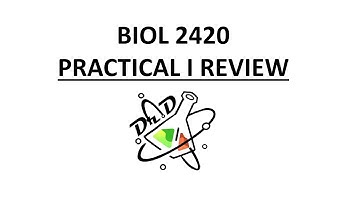 BIOL2420 Practical I review!
