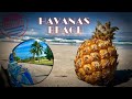 ShnuroVideo. CUBA. HAVANA. HAVANAS BEACH