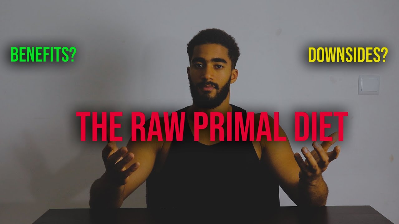 "RAW PRIMAL DIET" ALMOST 3 YEARS OF EXPERIENCE YouTube