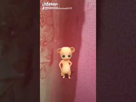 شارع سليم اخر فيصل الهرم جيزه