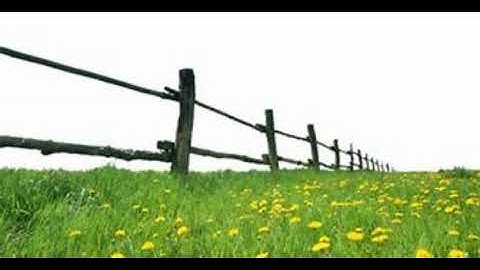 سورة الفاتحه بصوت الشيخ ابو بكر الشاطري