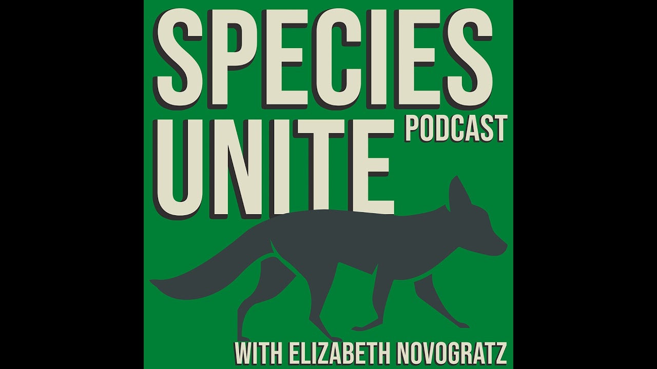 JG Collomb: Wildlife Conservation Network