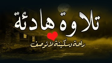 تلاوة هادئة من القرآن الكريم قبل النوم 😌 راحة نفسية عميقة تهدّئ القلب وتُريح الأعصاب 🎧