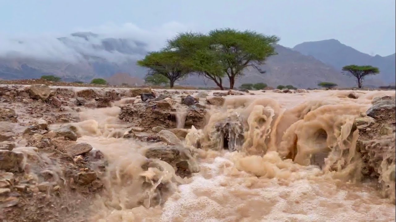 أمطار الخير في وادي حقيل - وادي شحه ، بتاريخ ( 2/5/2024 )