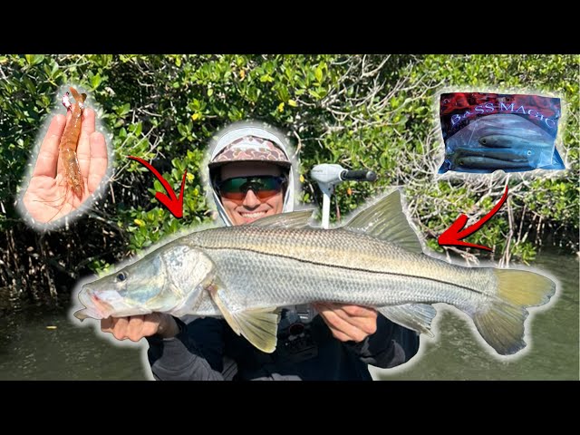 bass fishing with shrimp lures Soft Plastic Lure Hook Crappie Micro Grass Shrimp for Trou  9km-dwlife Durable TPE material Pickwick top baits, TRD =