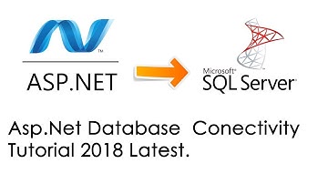 How To Save Feedback Form Data Into Database ASP.NET Tutorial