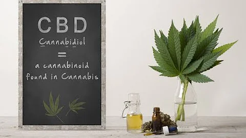 660W LED Cannabis Grow Light Bar Grow Lights 1000W HPS Replacement For Indoor and greenhouse