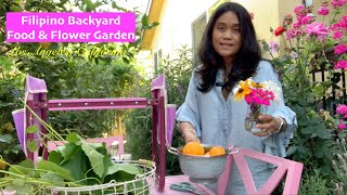 Filipino Backyard Food Garden, Harvest and Cooking Vlog -  California #gardening #urbangardening
