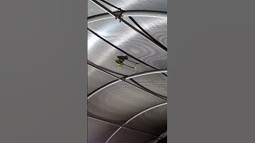 OMP M2 Fun at AMPS Heli Smack Fest 5.0 Subscribe For More. Playlists for Everyone #flyrightrc