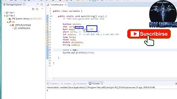 CURSO JAVA tipo de variables Capitulo 2