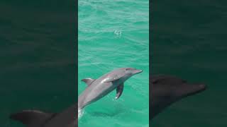 Ausflüge In Hurghada