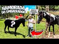 QUEM SERÁ a PRIMEIRA NAMORADA do meu CAVALO EMBAIXADOR ?