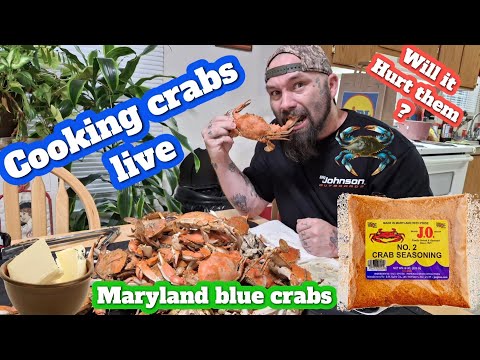 BackyardFunCountryBoy  is live!