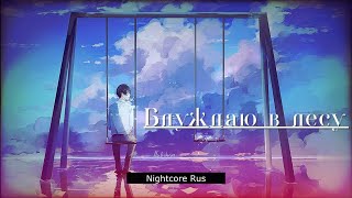 Nightcore - Андрей Бирин, Дэйв Мецгер - Блуждаю в лесу