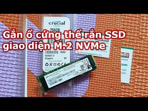 Hướng dẫn cách gắn ổ SSD Micron M.2