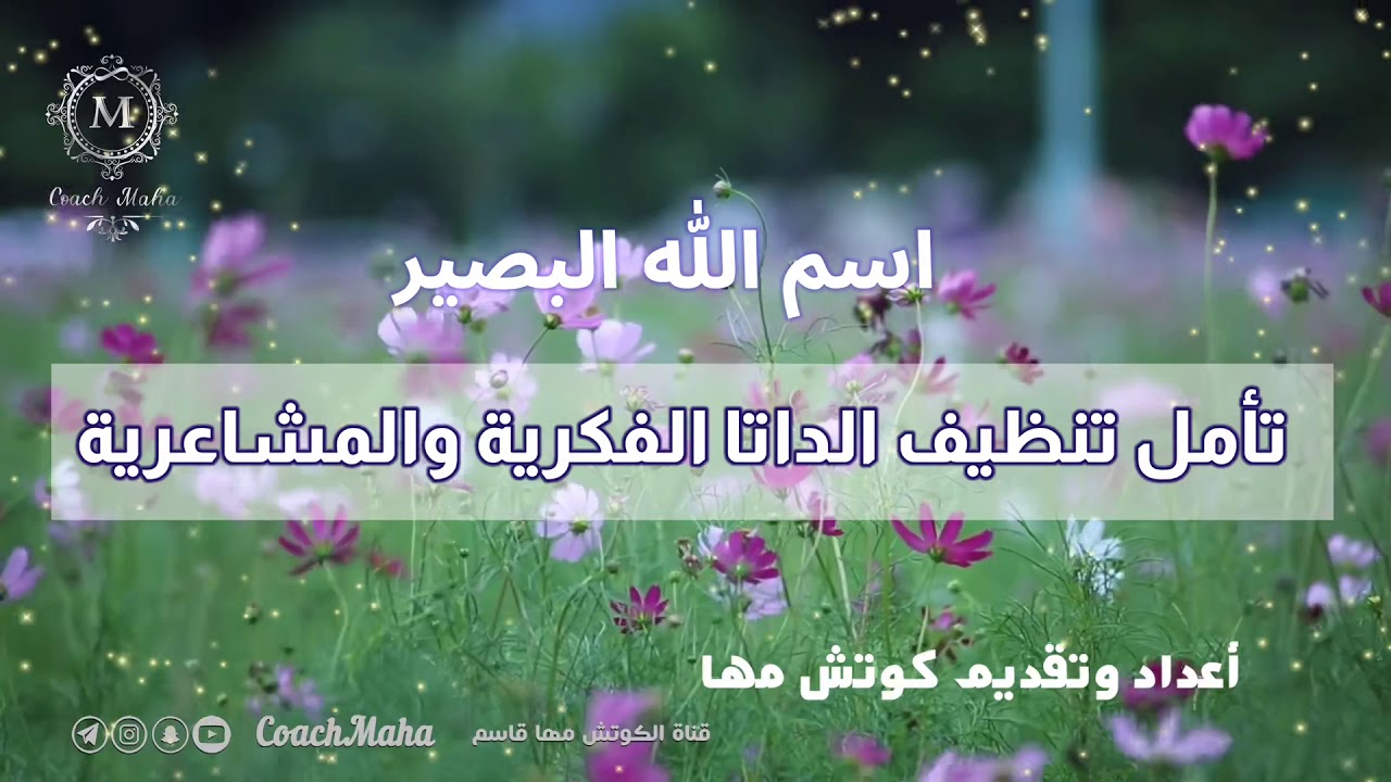 تأمل تنظيف الداتا الفكرية والمشاعرية السلبية |كوتش مها ،(اقرأ صندوق الوصف👇)