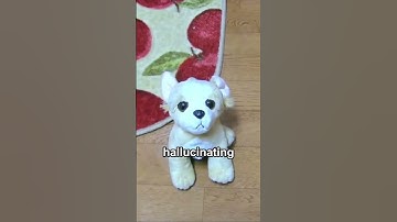 What Really Happened in This SML Episode?