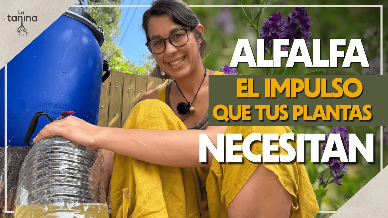 Aumenta tus cosechas con Extracto Fermentado de Alfalfa🌿