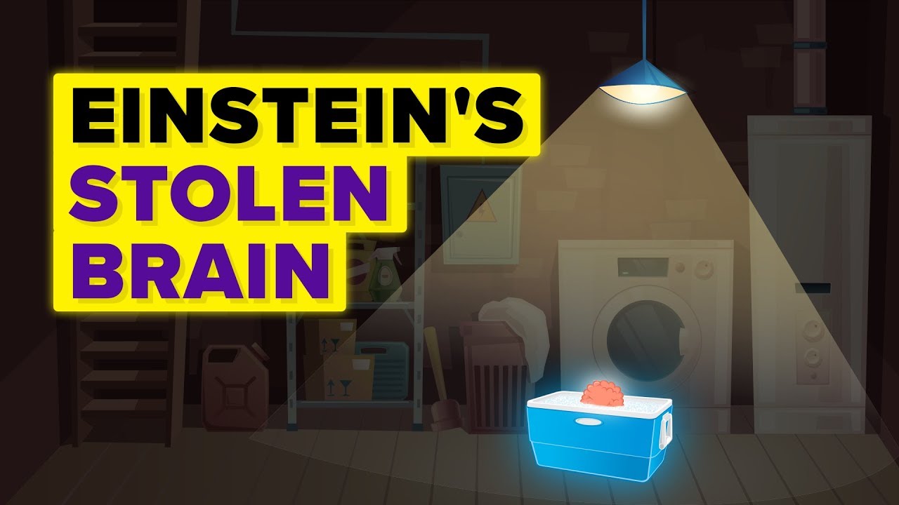 A Man Steals Albert Einstein's Brain And Keeps It In His Basement For 23 Years