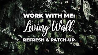 Refreshing my GIANT Living Wall | Work With Me | Kaylee Ellen