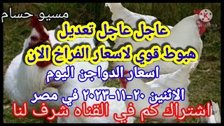 اسعار الفراخ البيضاء اليوم اسعار الدواجن اليوم الاثنين ٢٠-١١-٢٠٢٣ في مصر