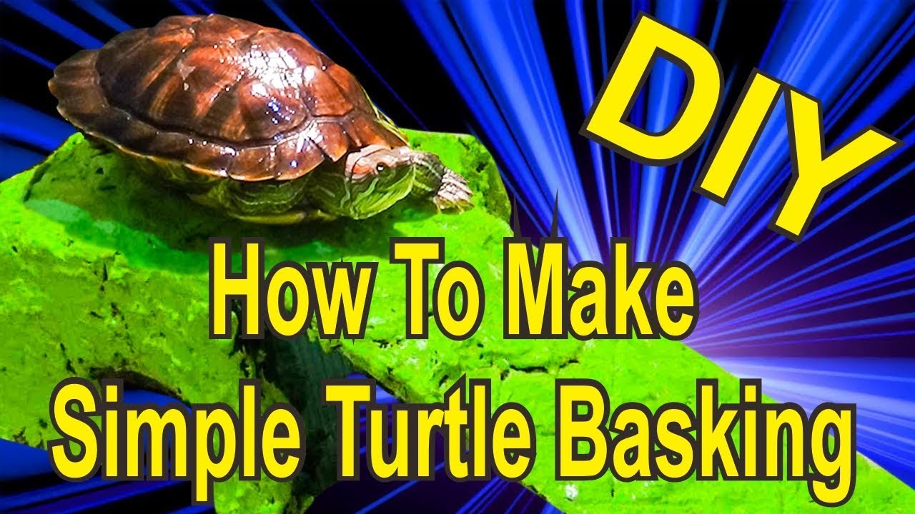 best uvb bulb for turtles