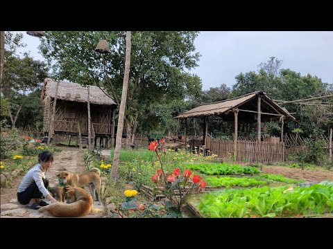 Видео: Полное видео: 65 дней садоводства, посадки, сбора урожая, приготовления пищи и ухода за домашними