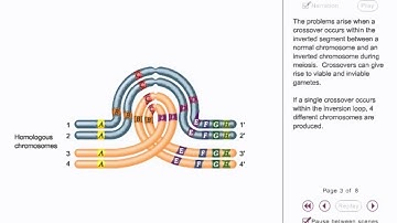 Crossing over animation