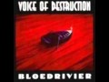 Voice Of Destruction -  Funeral