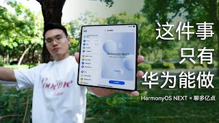 鴻蒙 NEXT 最大意義，做好「軟件規範」這件事！| HYK