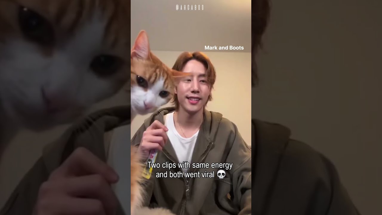 Got7 pets going viral #got7 #marktuan #bambam
