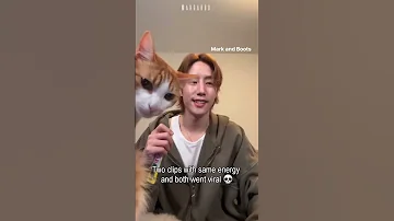 Got7 Pets Going Viral Got7 Marktuan Bambam 