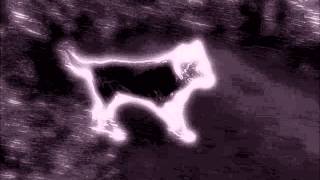 Video-Miniaturansicht von „Edu Kettunen: Näkymätön koira“