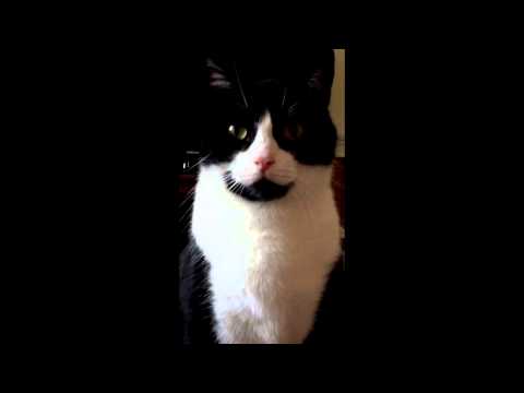 Pink Floyd - Side 3, Pt. 4: Allons-y